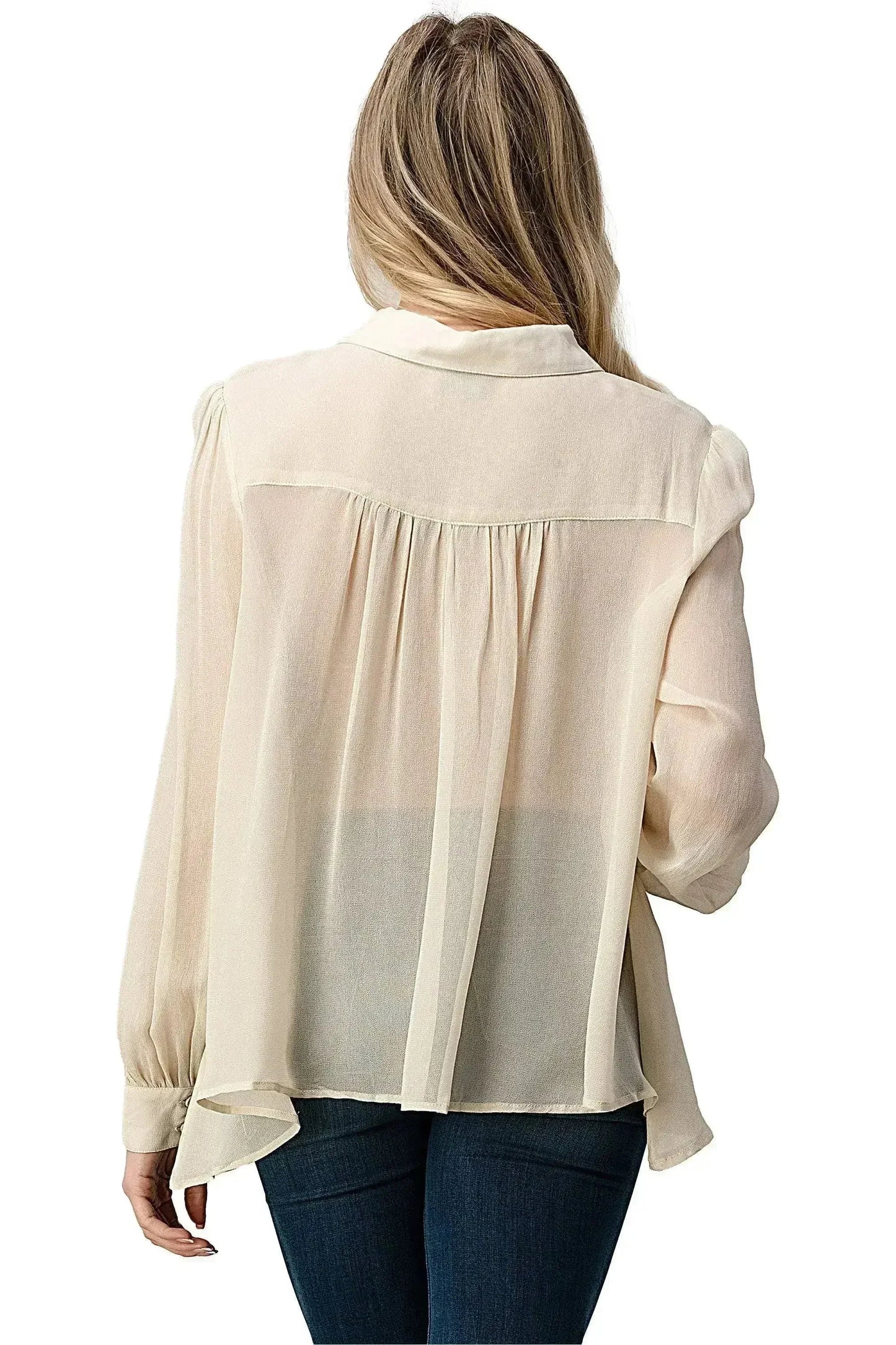 Embroidered Sheer Blouse - Beaded Jewel Trim Button-Up Top | Femstylo
