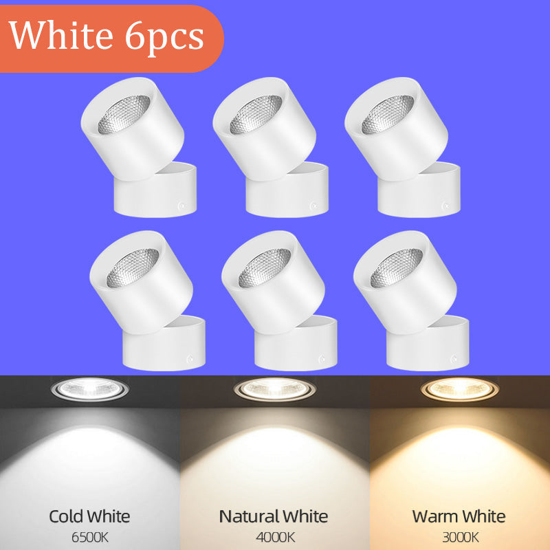 LED Downlight Spotlights Are Open Mounted And Foldable