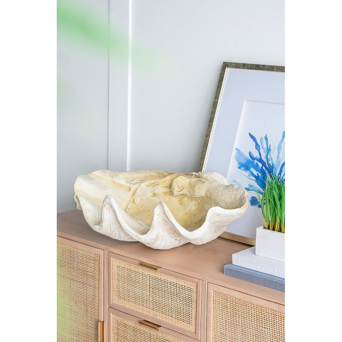 Large Clam Shell Accent 25.3x16.5x8.5"
