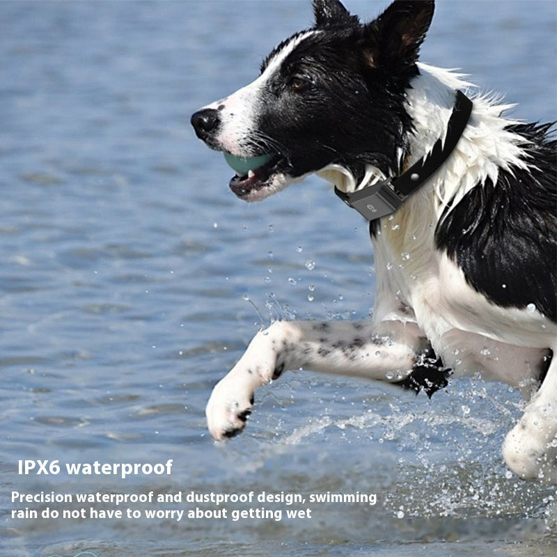 Pet Global Positioning Collar Track Tracking Locator