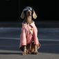 Dog Clothes For Large Breeds Labrador