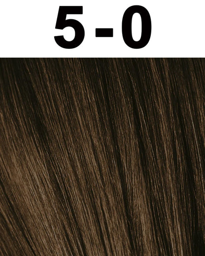 Schwarzkopf Professional Igora Permanent Hair Color 6-23 2.1 oz