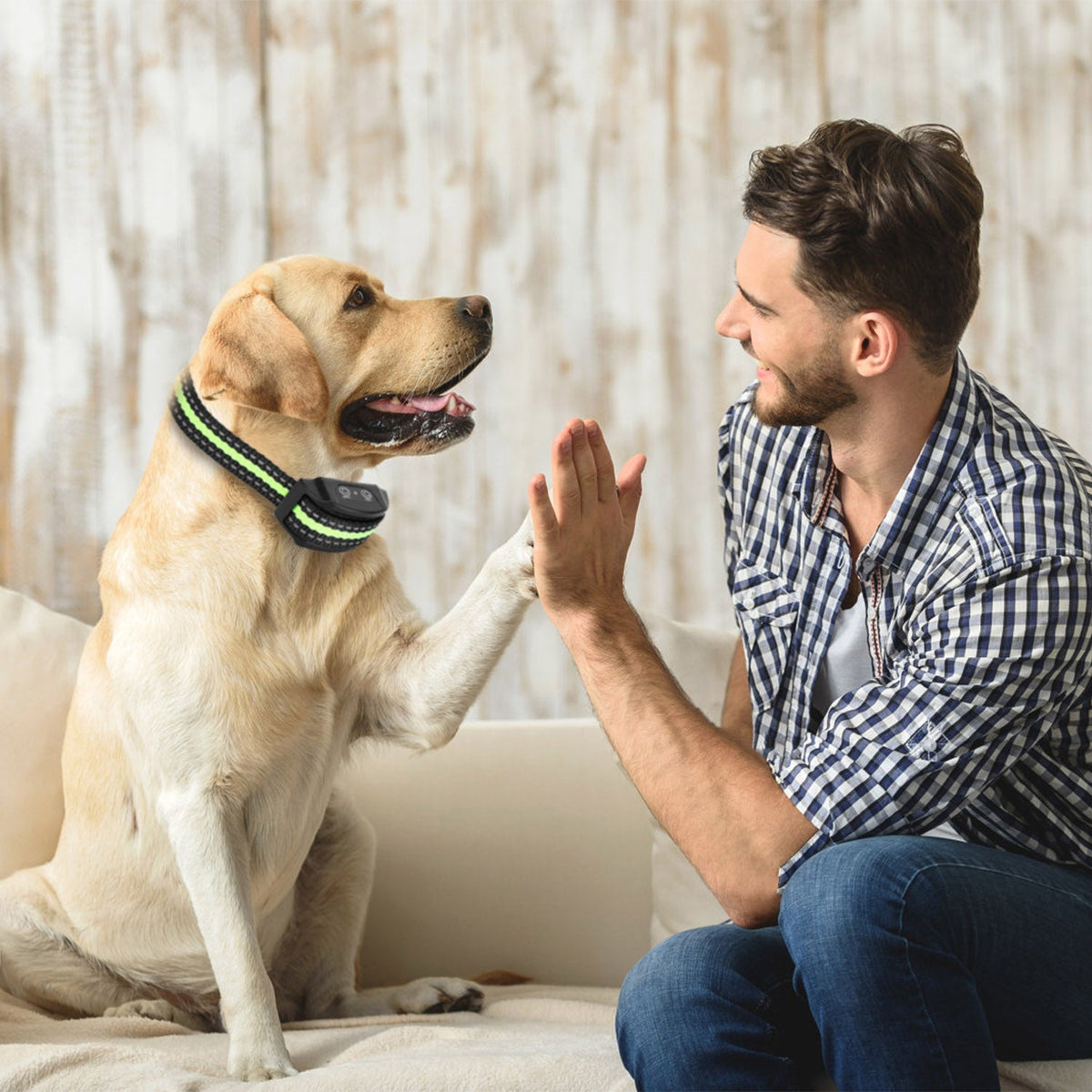 Anti-Bark Dog Collar IP67 Waterproof Beep Electric Shock Rechargeable Pet Training Device w/ 7 Adjustable Sensitivity