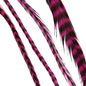 Babe Striped Magenta Feather Hair Extensions