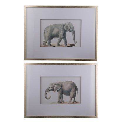 23.6x31.5" Fake Elephant Pencil Drawings, Set of 2