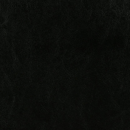Dorian Faux Leather Upholstered Queen Panel Bed Black