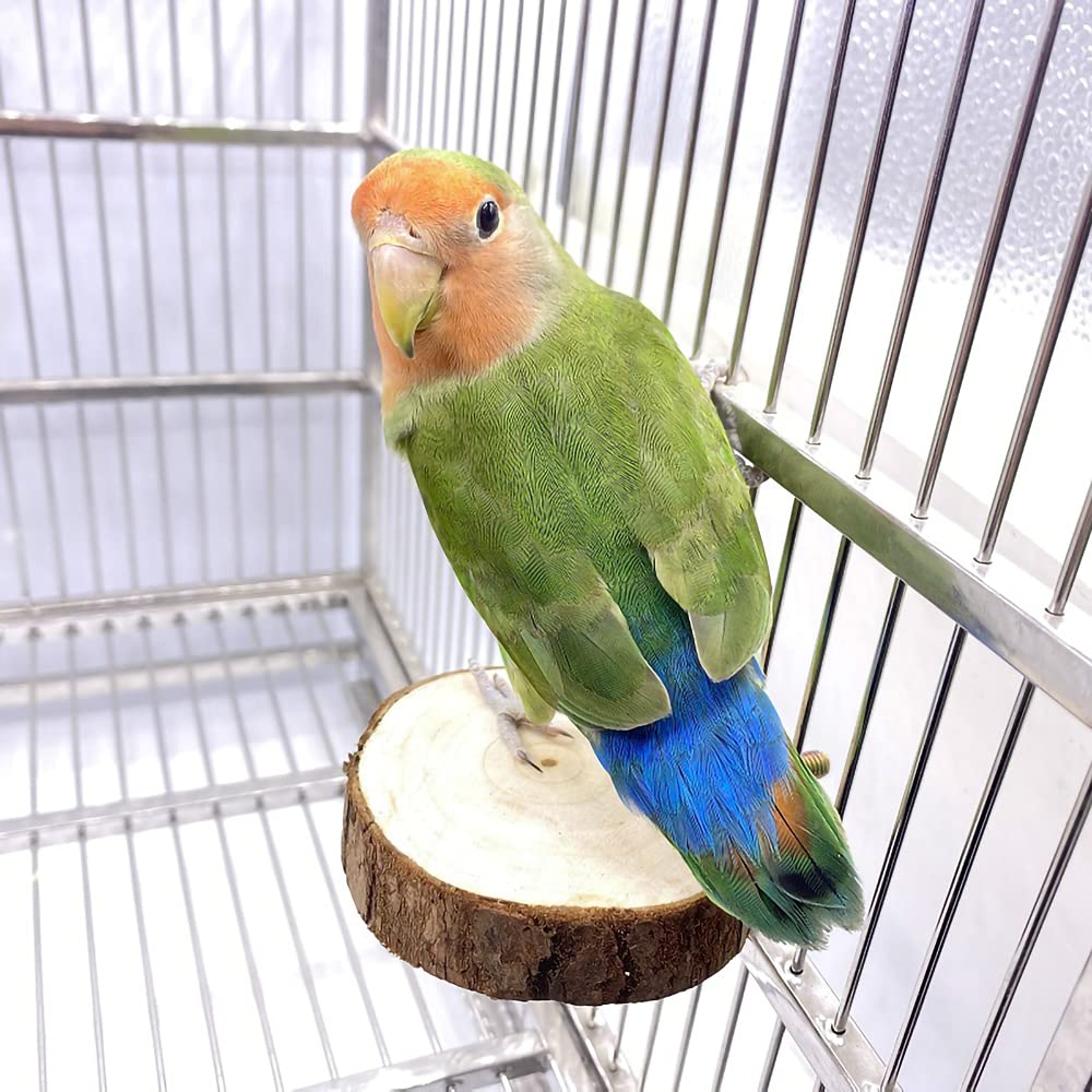 9-Piece Parakeet Toys & Budgie Toys, Bird Cage Accessories Set Natural Wood Bird Toys Include Coconut Hideaway, Swing, Ladder, Perch, Mirror And Hanging Toys For Budgies & Cockatiels