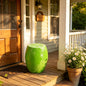 Novelty Lime Stool & Accent Table