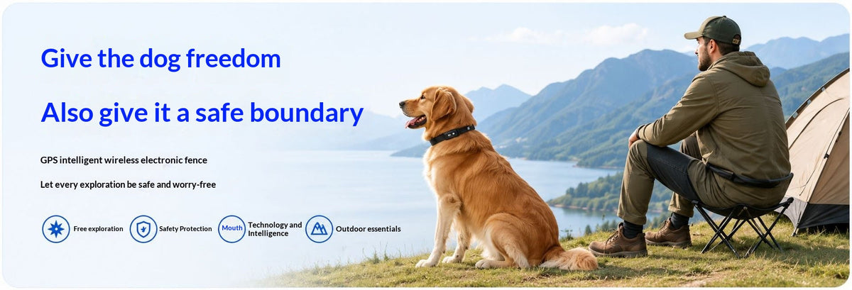 Smart GPS Wireless Fence & Tracking Training Collar