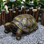 21.3" Large 3D Turtle Statue