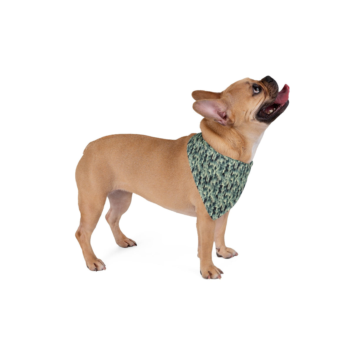 Echoes of a City in Mist and Repeat - Pet Bandana Pet Zen