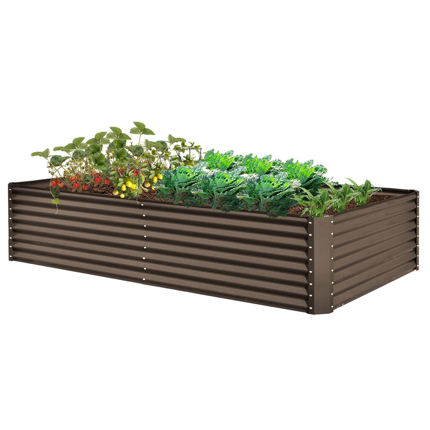 8×4×2 ft Galvanized Raised Garden Bed
