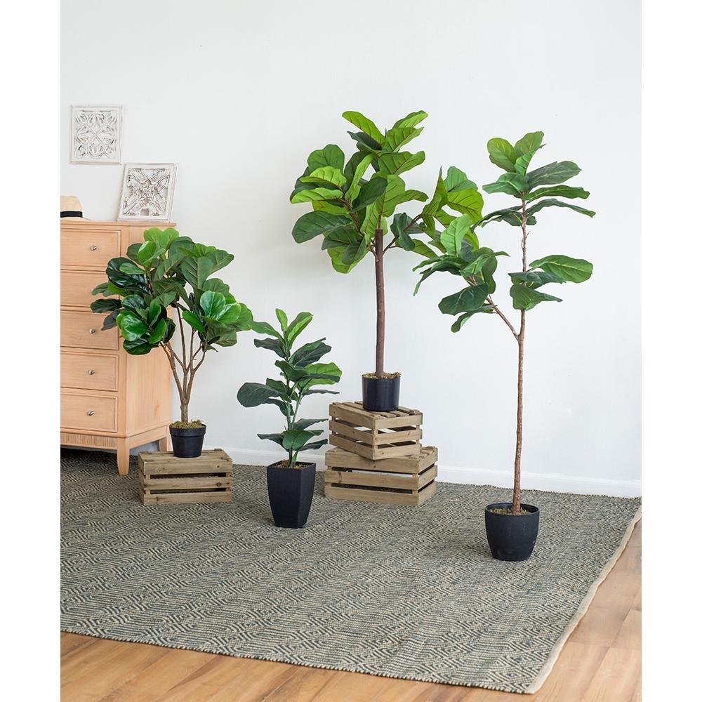 25x25x52"H Fiddle Fig Leaf Tree with 40 Leaves
