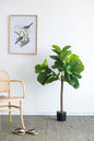 25x25x52"H Fiddle Fig Leaf Tree with 40 Leaves
