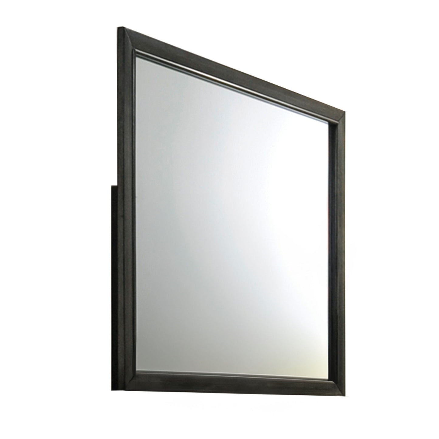 Carine Gray Mirror