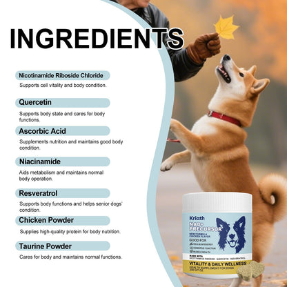Dog Care Chewable Tablets Are Gentle On The Dog's Body And Provide Daily Nutritional Supplements Suitable For All Dog Breeds