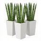 Spacious Plant Pots, Plants Box Set of 3, Tall Planters Box