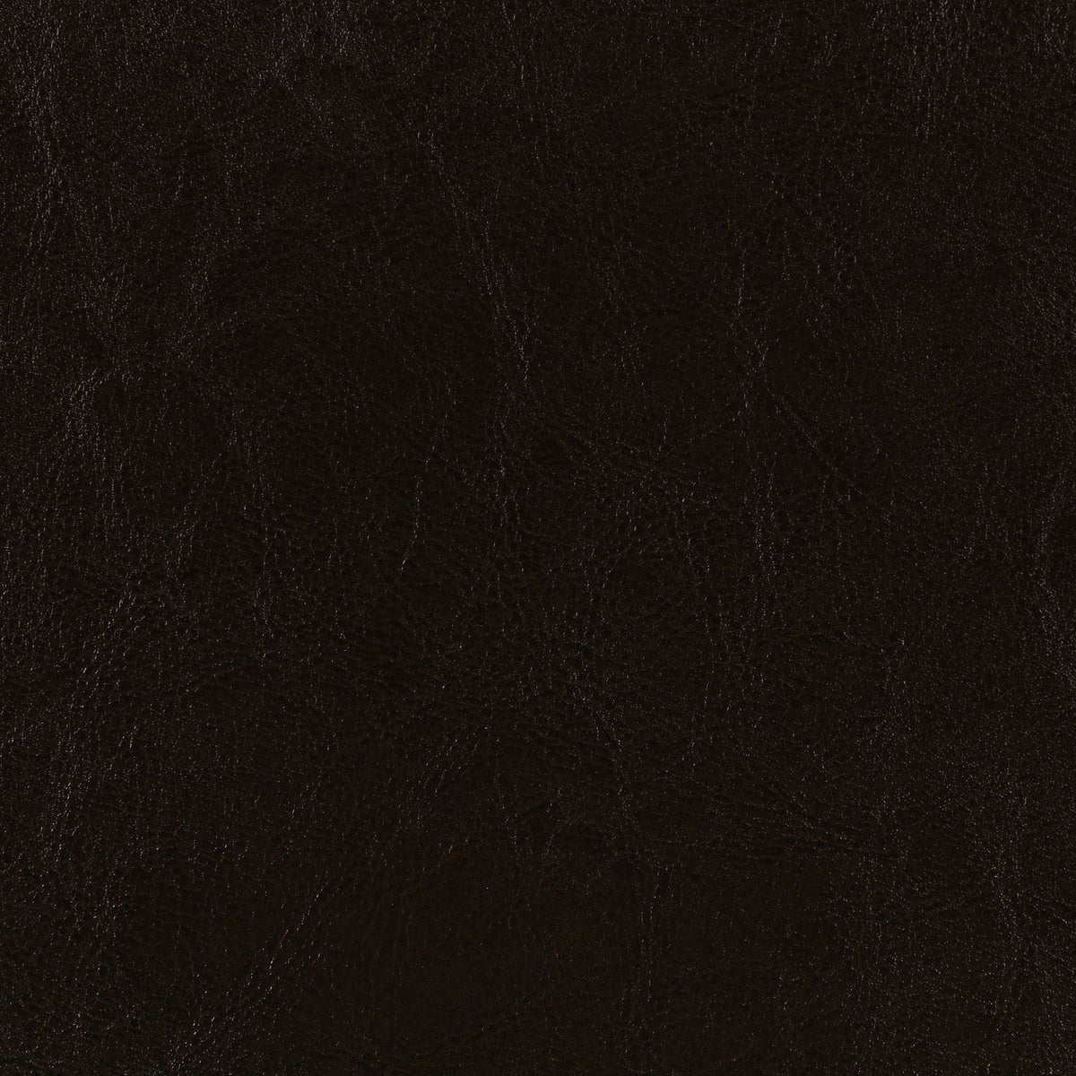 Dorian Faux Leather Upholstered Eastern King Panel Bed Brown