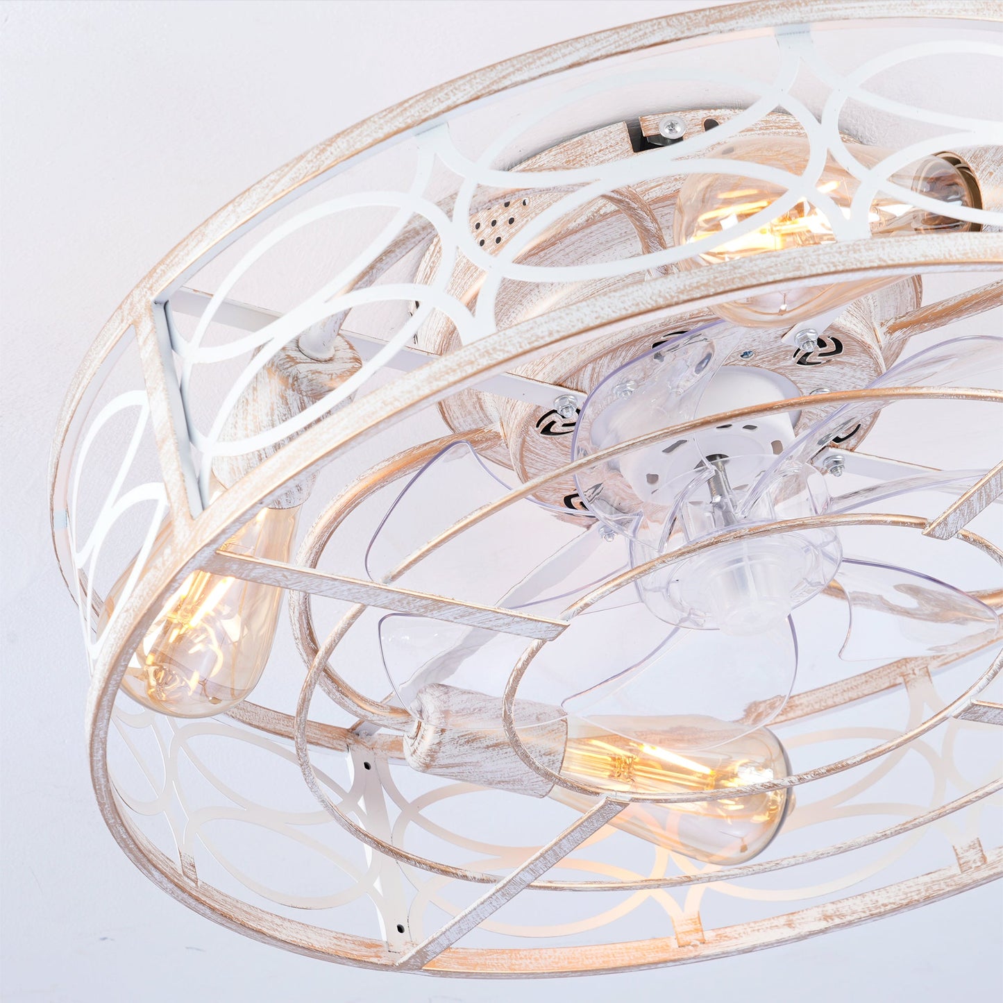 20" Caged Ceiling Fan with Lights and Remote Control