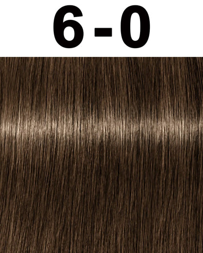 Schwarzkopf Professional Igora Permanent Hair Color 6-23 2.1 oz