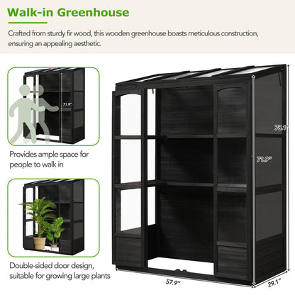TOPMAX 78-inch Wooden Greenhouse Cold Frame with 4 Independent Skylights and 2 Folding Middle Shelves