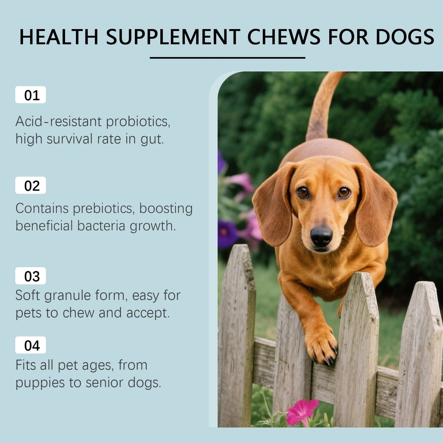 Dog Care Chewable Tablets Are Gentle On The Dog's Body And Provide Daily Nutritional Supplements Suitable For All Dog Breeds