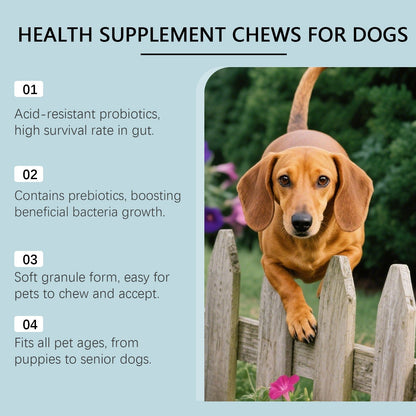 Dog Care Chewable Tablets Are Gentle On The Dog's Body And Provide Daily Nutritional Supplements Suitable For All Dog Breeds