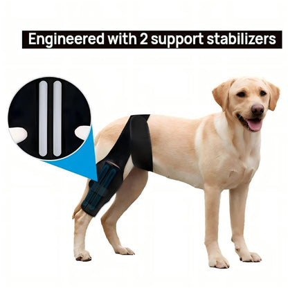 Dog Knee Brace For Torn ACL Hind Leg, Comfortable And Adjustable Support Brace With Two Stabilizer, Dog Leg Braces For Back Leg With Extra Support, Arthritis Relief And Surgery Recovery