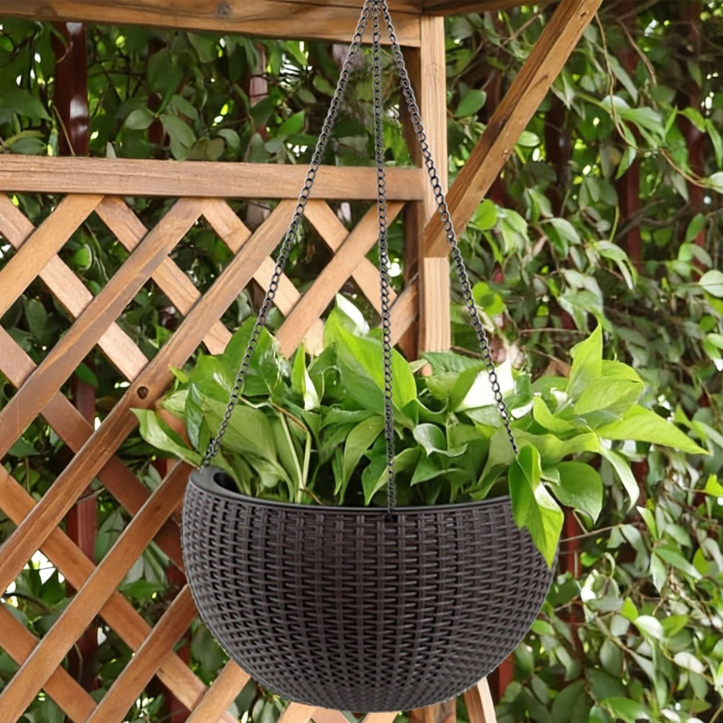 Self Watering Hanging Planter