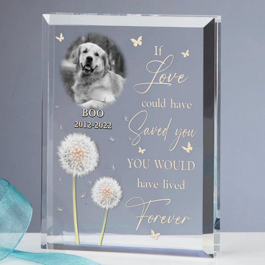 Personalized Memorial Pet Photo Rectangle Acrylic Plaque - Memorial Gift For Pet Owners - If Love Could Have Saved You You Would Have Lived Forever