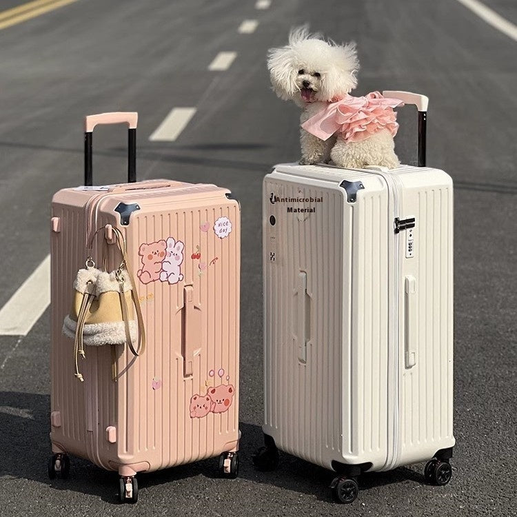 Simple Home Five-wheel Super Large Capacity Traveling Trolley Case
