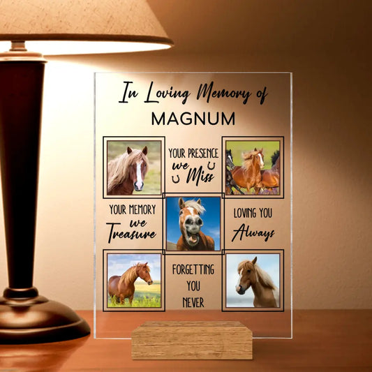 Personalized Memorial Acrylic Plaque - Upload Horse Photo - Memorial Gift Idea - We Miss Your Memory