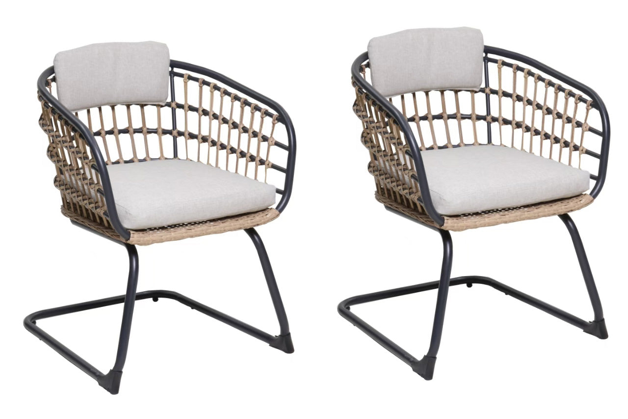 Wicker Dining Chair Set of 2
