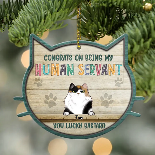 Personalized Cat Acrylic Ornament - Up to 6 Cats - Christmas Gift Idea For Cat Lover - Congrats On Being My Human Servant