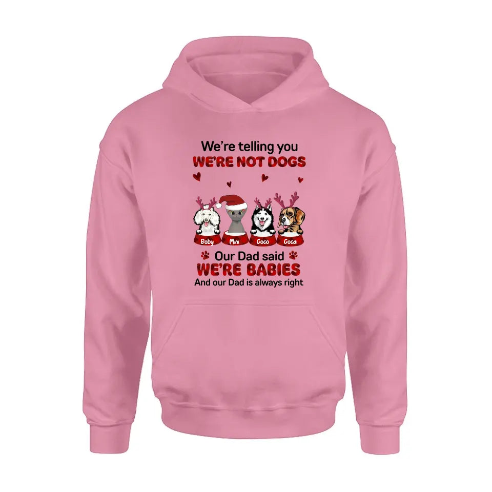 Personalized Pet Shirt/Hoodie - Gift Idea For Pet Lovers - Up to 4 Pets/Cats/Dogs - We're Telling You We're Not Dogs