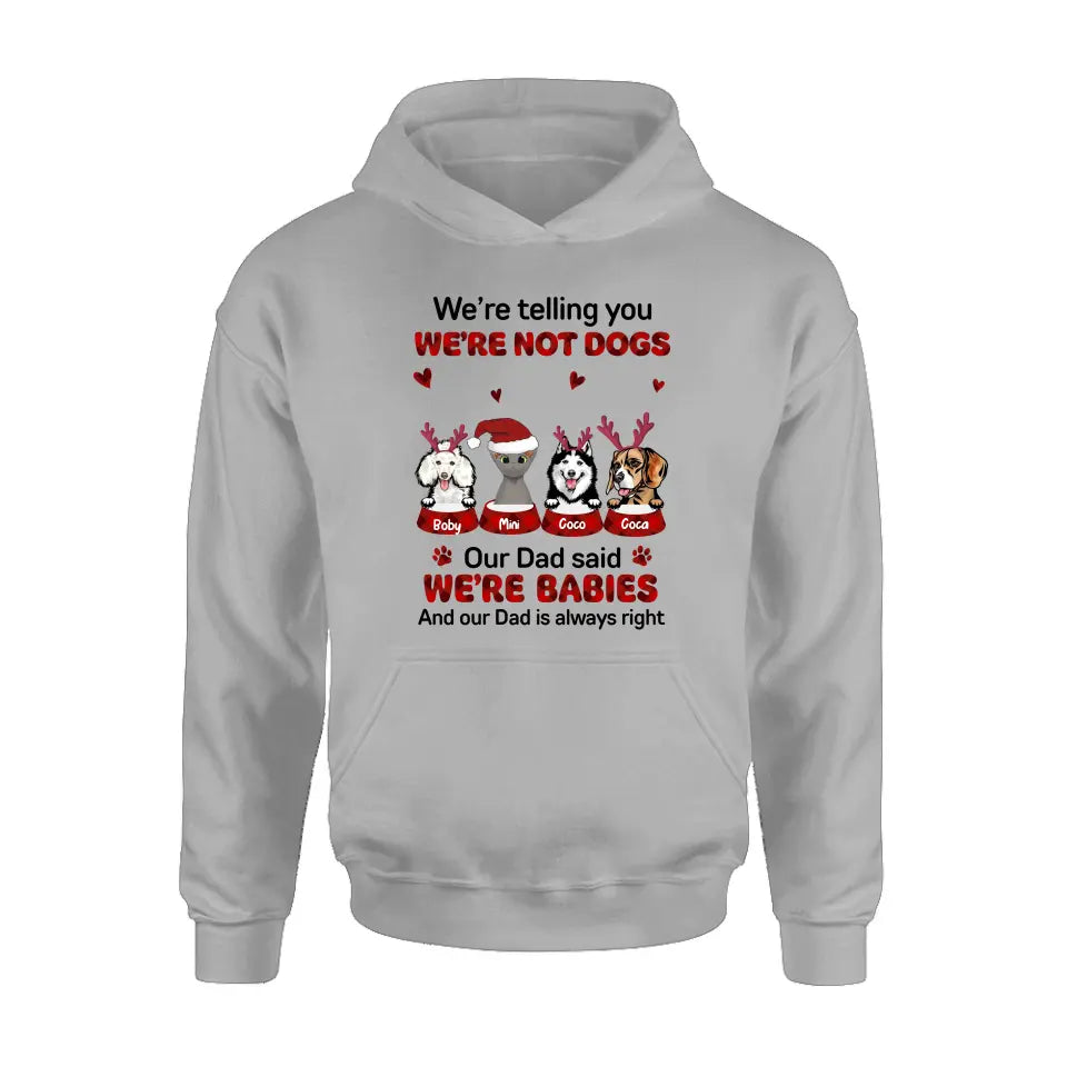 Personalized Pet Shirt/Hoodie - Gift Idea For Pet Lovers - Up to 4 Pets/Cats/Dogs - We're Telling You We're Not Dogs