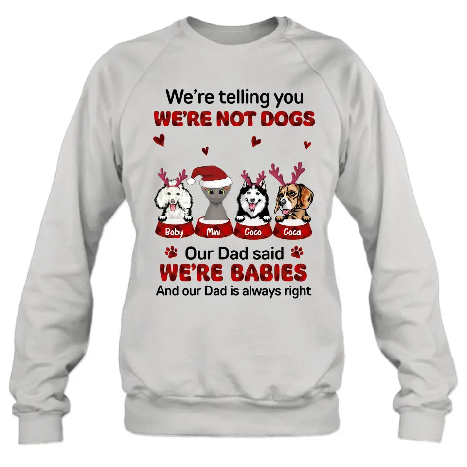 Personalized Pet Shirt/Hoodie - Gift Idea For Pet Lovers - Up to 4 Pets/Cats/Dogs - I'll Be Watching You