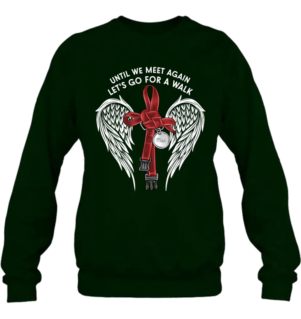 Personalized Memorial Dog Leash Shirt/Hoodie - Until We Meet Again Let's Go For A Walk - Memorial Gift Idea For Dog Owner