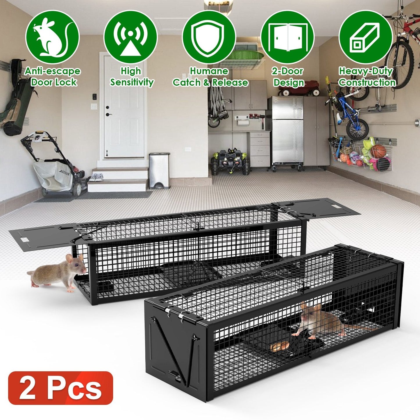 2-Pack Humane Live Rat Trap Cage with Dual Doors