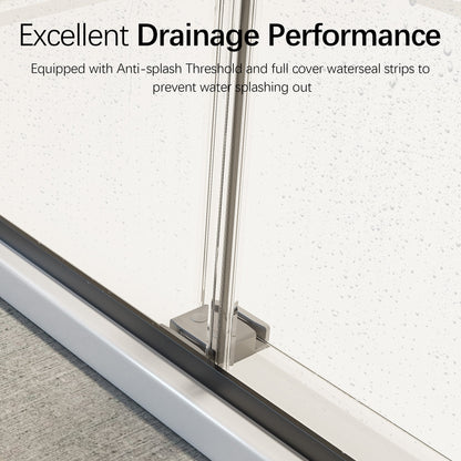 46-48" W x 76" H Frameless Double Sliding Soft-Close Shower Door