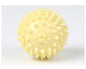 TPR pet molars interactive toy