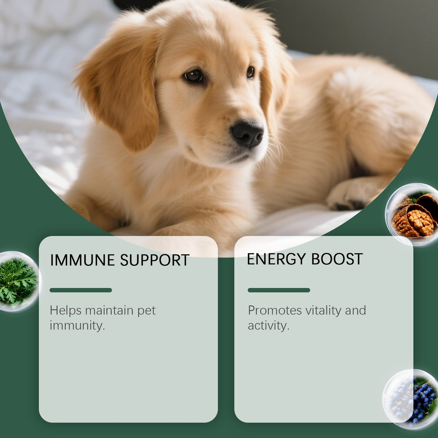 Kriath Dog Intestinal Essential Oil Drops Gentle Formula Comfortable And Nourishing Oral Drops For Pets' Digestive Health
