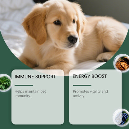 Kriath Dog Intestinal Essential Oil Drops Gentle Formula Comfortable And Nourishing Oral Drops For Pets' Digestive Health