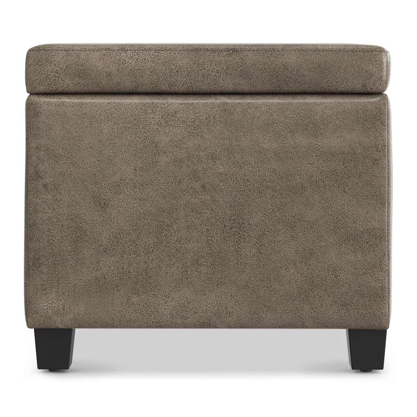 Avalon - Contemporary Storage Ottoman Bench