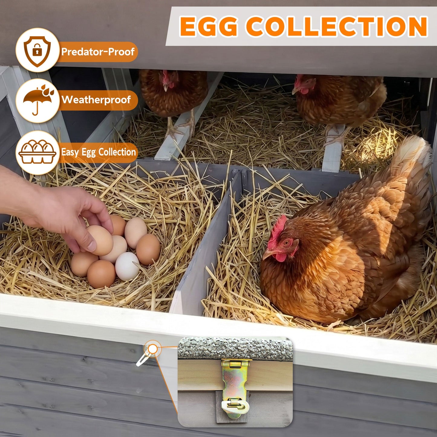 150" Extra Large Wooden Chicken Coop