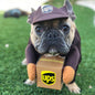 Funny Express Pet Dog Cat Clothes