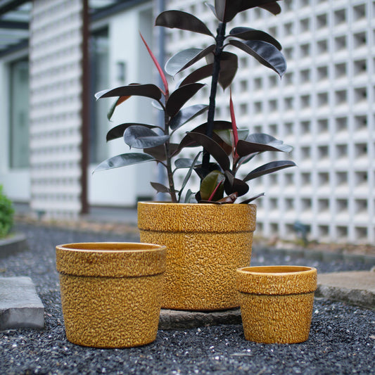 Handmade Ceramic Planter Set of 3