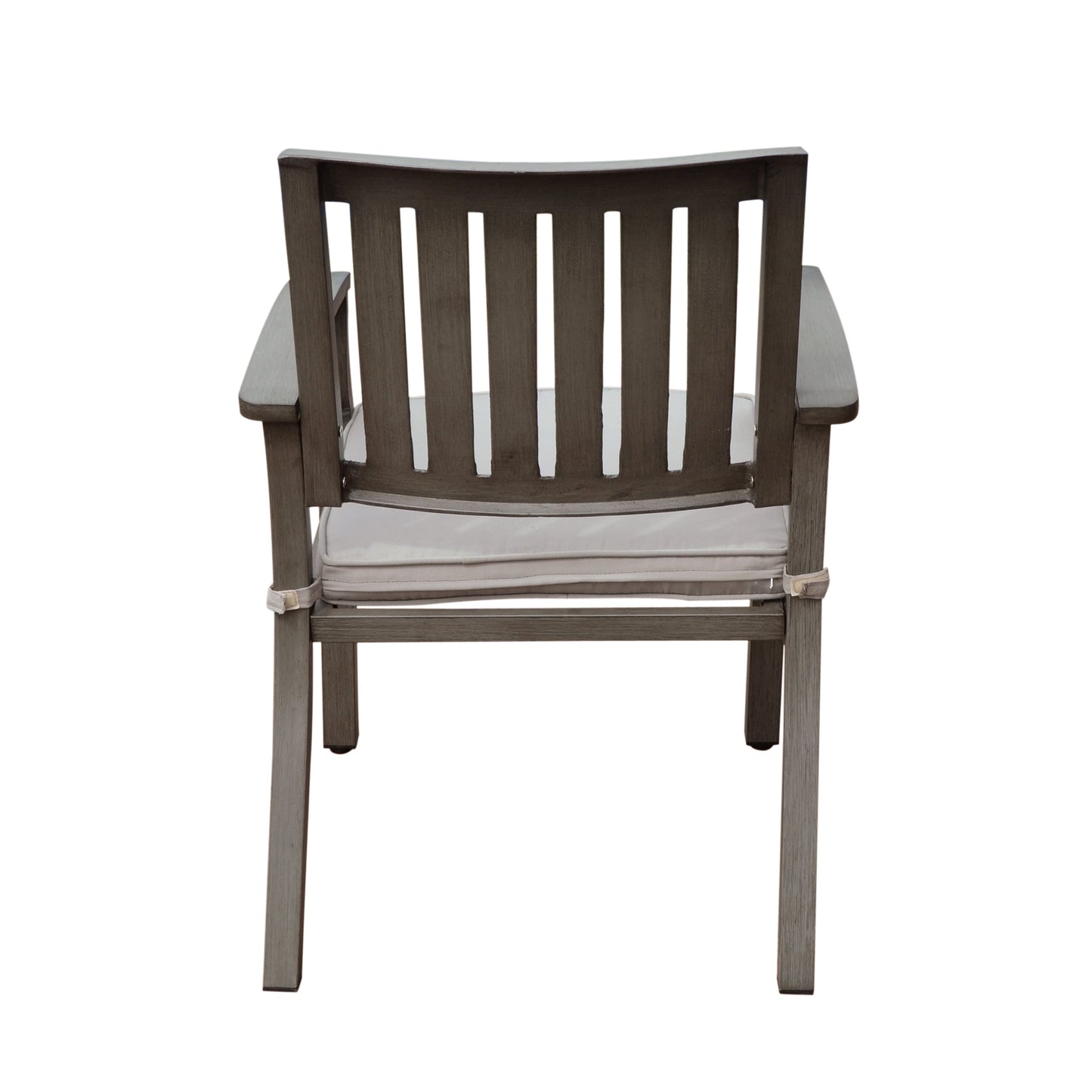 Outdoor Modern Aluminum Dining Chair with Cushion (Set of 2)