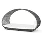 Abigal Outdoor Wicker Daybed With Cushion