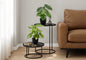 13" Tall, Artificial Plant, Monstera Calthea, Indoor, Faux, Fake, Table, Greenery, Potted, Decorative (Set of 2) - Green / Black